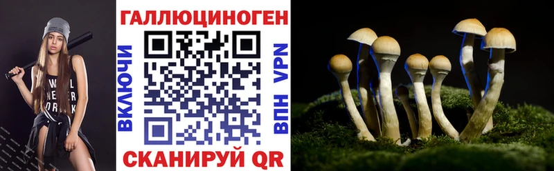 МЕГА tor  Киреевск  Галлюциногенные грибы MAGIC MUSHROOMS 